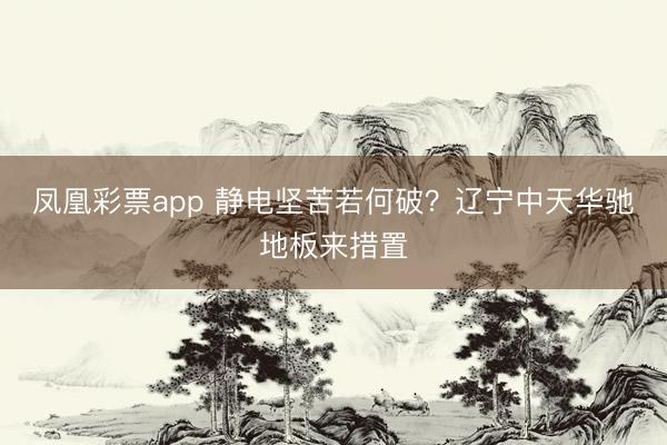 凤凰彩票app 静电坚苦若何破？辽宁中天华驰地板来措置