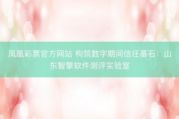 凤凰彩票官方网站 构筑数字期间信任基石：山东智擎软件测评实验室