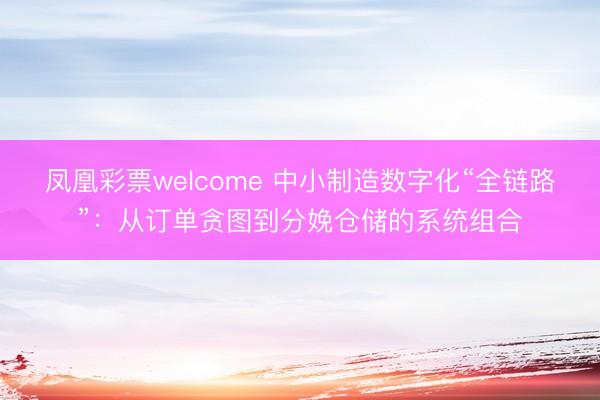 凤凰彩票welcome 中小制造数字化“全链路”：从订单贪图到分娩仓储的系统组合