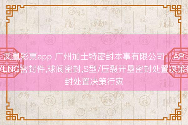 凤凰彩票app 广州加士特密封本事有限公司：API6D/LNG密封件,球阀密封,S型/压裂开垦密封处置决策行家