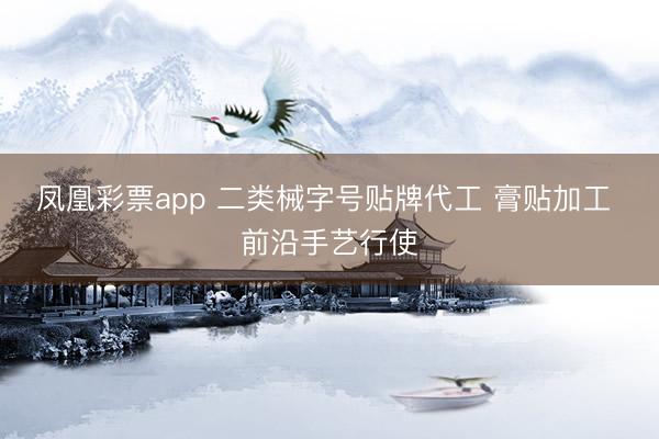 凤凰彩票app 二类械字号贴牌代工 膏贴加工 前沿手艺行使