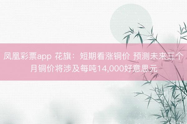 凤凰彩票app 花旗：短期看涨铜价 预测未来三个月铜价将涉及每吨14，000好意思元
