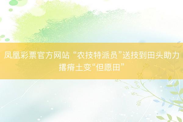 凤凰彩票官方网站 “农技特派员”送技到田头助力撂瘠土变“但愿田”