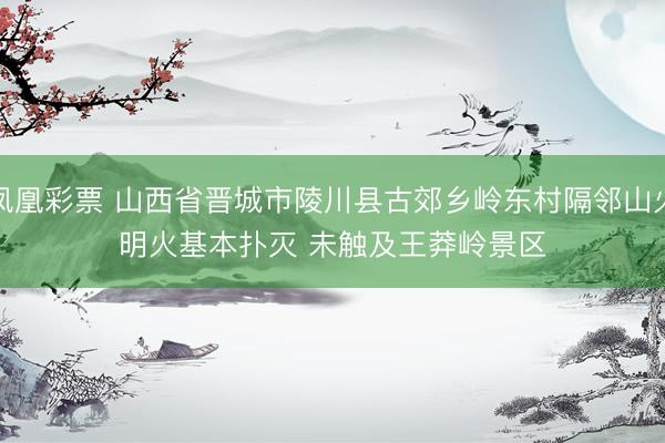 凤凰彩票 山西省晋城市陵川县古郊乡岭东村隔邻山火明火基本扑灭 未触及王莽岭景区