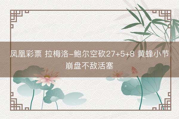 凤凰彩票 拉梅洛-鲍尔空砍27+5+8 黄蜂小节崩盘不敌活塞