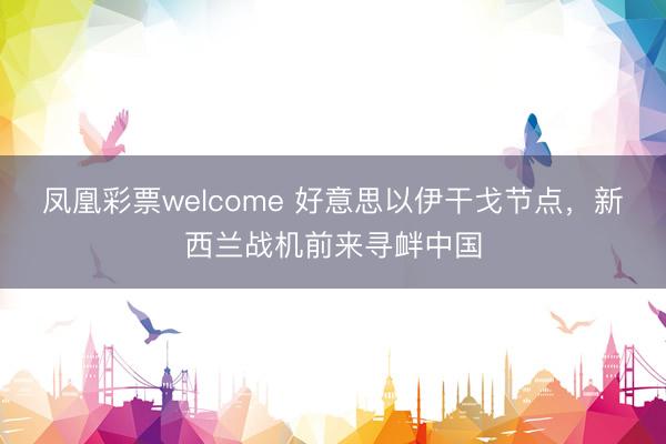 凤凰彩票welcome 好意思以伊干戈节点，新西兰战机前来寻衅中国