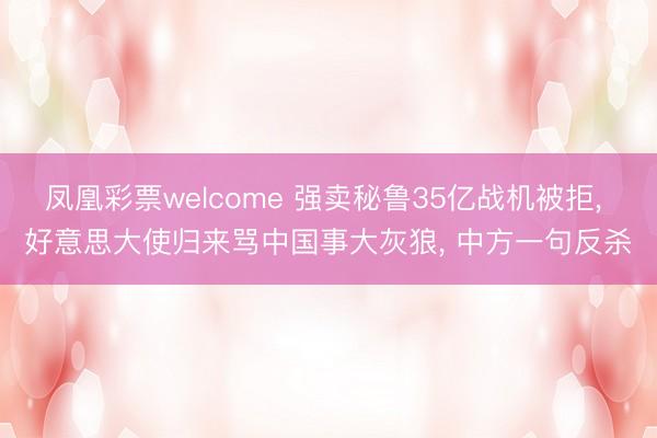 凤凰彩票welcome 强卖秘鲁35亿战机被拒, 好意思大使归来骂中国事大灰狼, 中方一句反杀