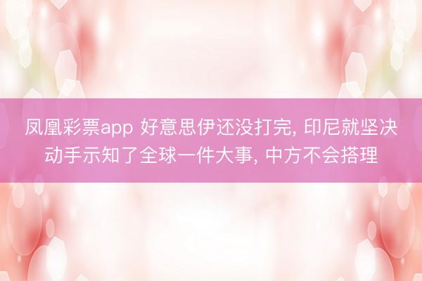 凤凰彩票app 好意思伊还没打完, 印尼就坚决动手示知了全球一件大事, 中方不会搭理